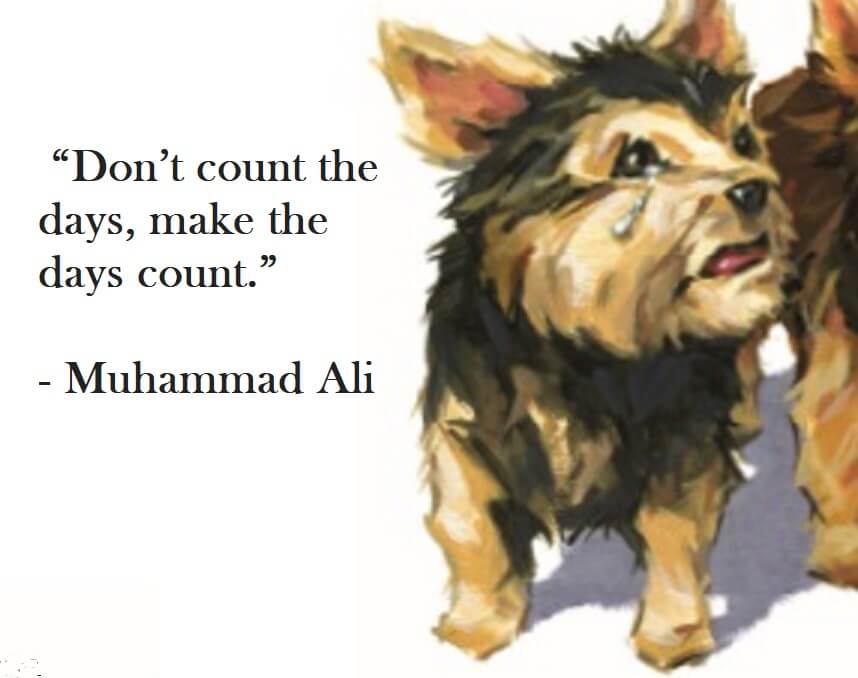 Muhammed Ali Quote on Hoist Point - Don't count the days, make the days count.