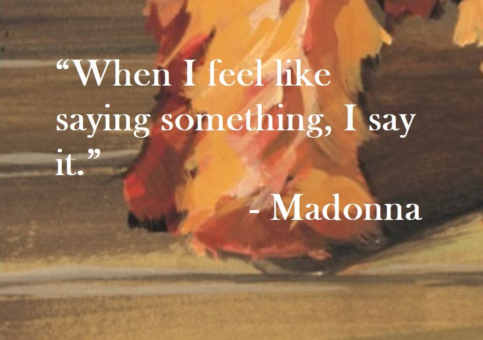 Madonna Quote on Hoist Point - When I feel like saying something, I say it.