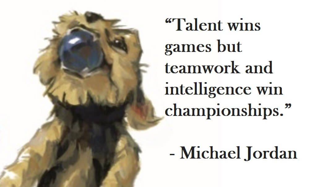 Michael Jordan Quote on Hoist Point - Talen wins games but teamwork and intelligence win championships.