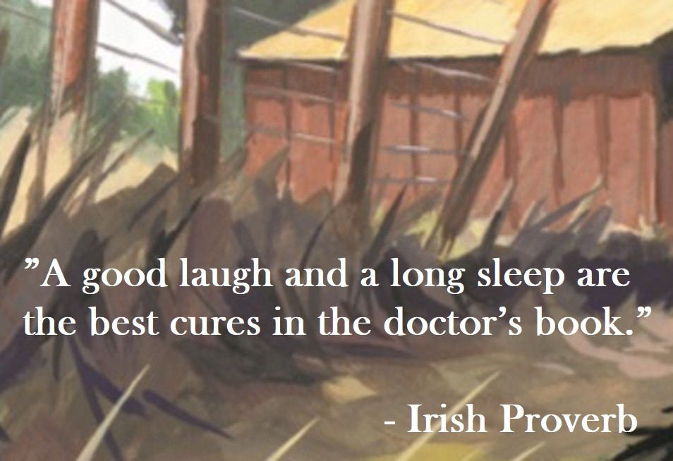 Irish Proverb on Hoist Point - A good laugh and a long sleep are the best cures in the doctor’s book.