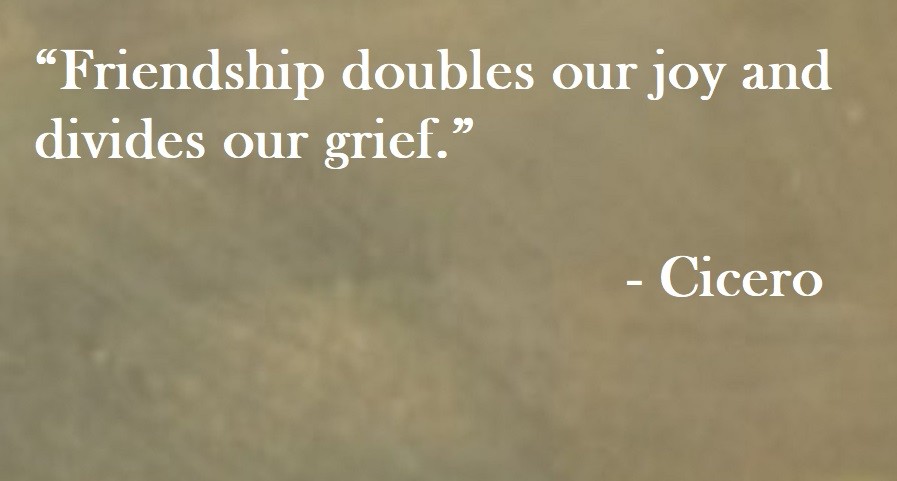 Cicero Quote on Hoist Point - Friendship doubles our joy and divides our grief.