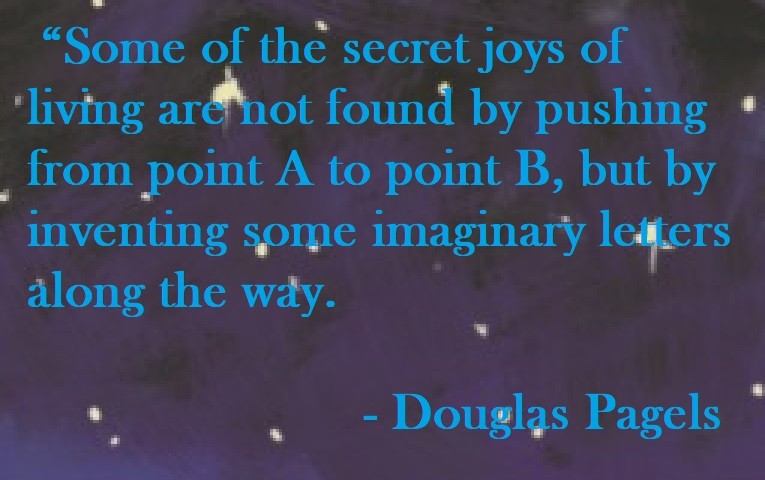 Douglas Pagels Quote on Hoist Point - Some of the secret joys of living are not found by pushing from point A to point B, but by inventing some imaginary letters along the way.