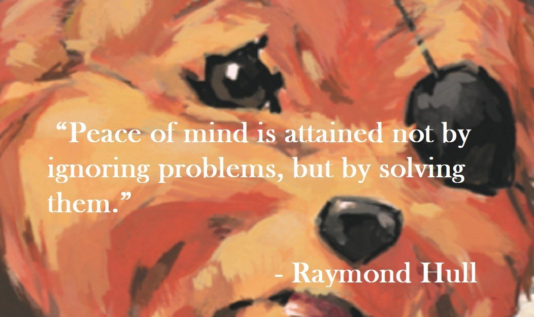 Raymond Hull Quote on Hoist Point Peace of mind is attained not by ignoring problems, but by solving them.