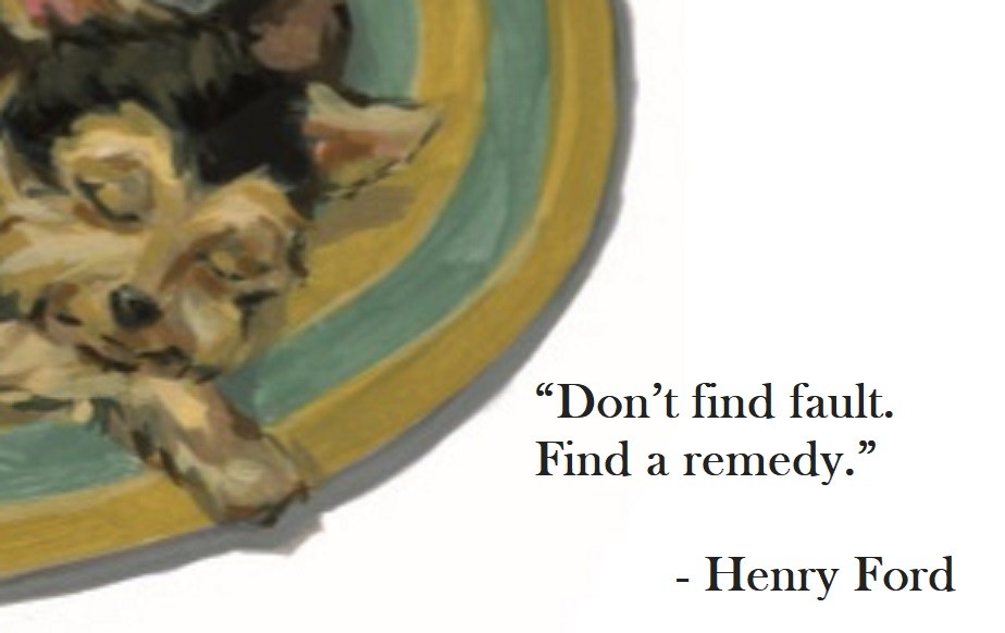 Henry Ford Quote on Hoist Point Don’t find fault. Find a remedy.