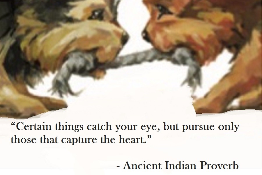 Ancient Indian Proverb Quote on Hoist Point Certain things catch your eye, but pursue only those that capture the heart.