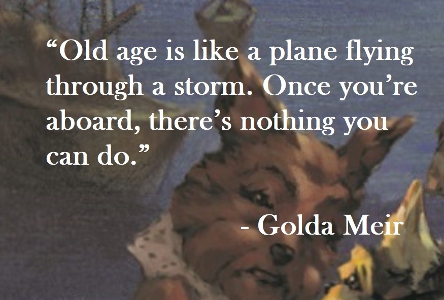 Golda Meir Quote on Hoist Point Old age is like a plane flying through a storm. Once you’re aboard, there’s nothing you can do.