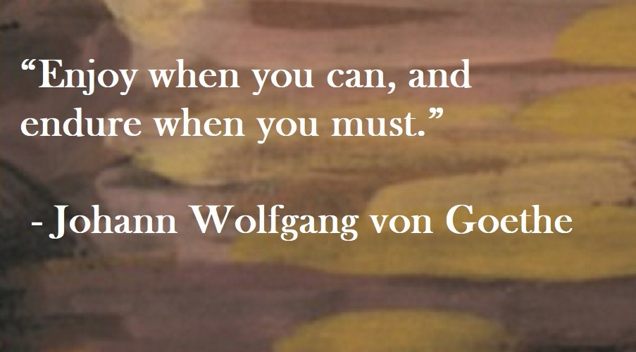 Johann Wolfgang von Goethe Quote on Hoist Point Enjoy when you can, and endure when you must.