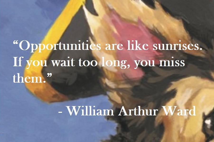 William Arthur Ward Quote on Hoist Point Opportunities are like sunrises. If you wait too long, you miss them.