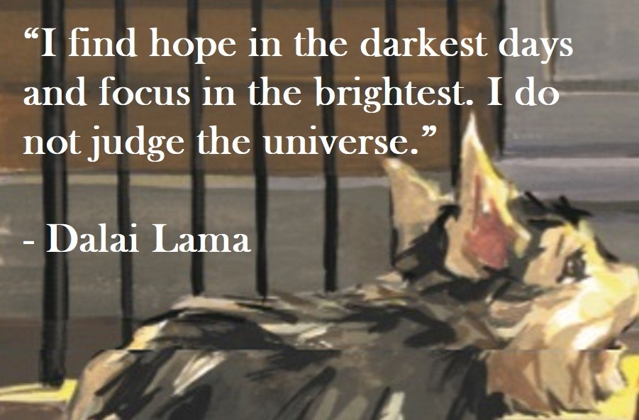 Dalai Lama Quote on Hoist Point I find hope in the darkest days and focus in the brightest. I do not judge the universe.