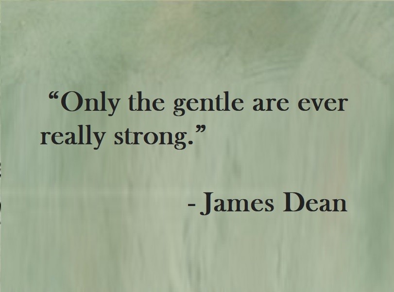 Only the gentle are ever really strong.  James Dean Quote on Hoist Point