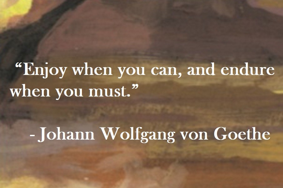 Enjoy when you can, and endure when you must. Johann Wolfgang von Goethe Quote on Hoist Point