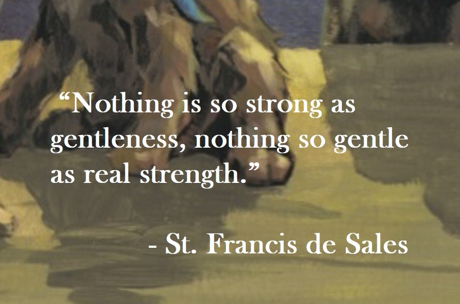 Nothing is so strong as gentleness, nothing so gentle as real strength. St. Francis de Sales Quote on Hoist Point