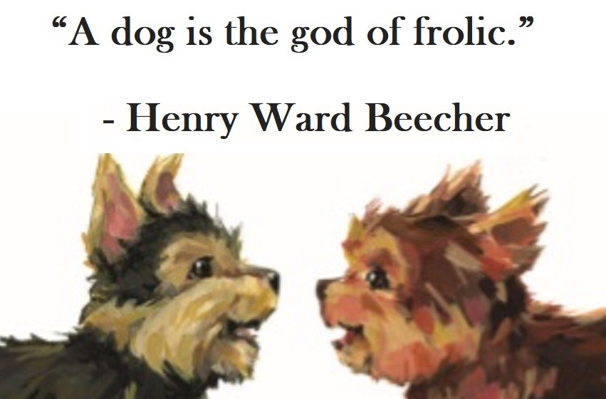 A dog is the god of frolic. Henry Ward Beecher Quote on Hoist Point