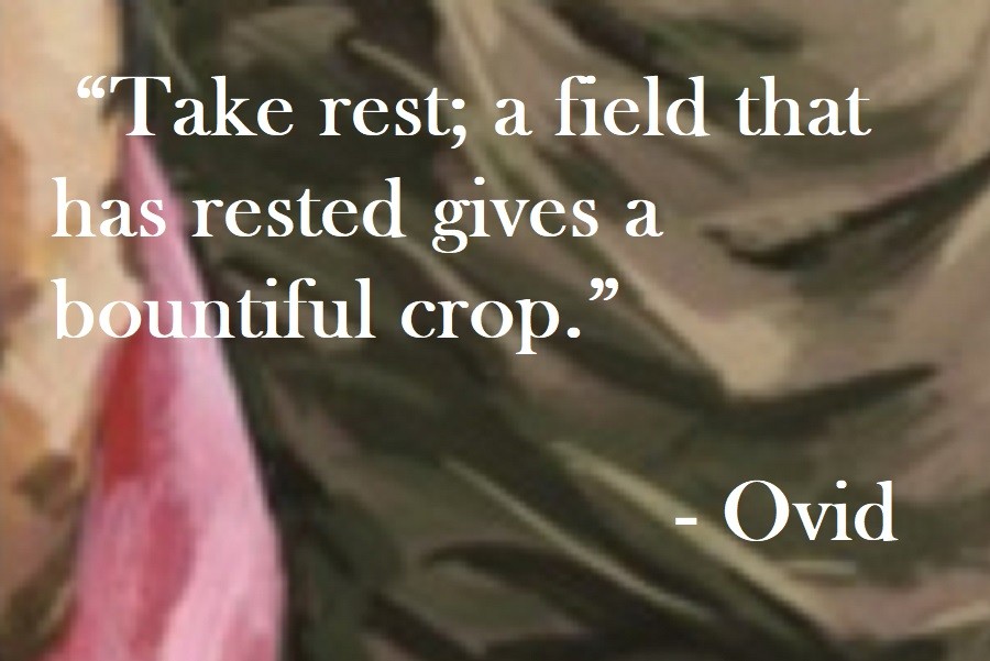 Take rest; a field that has rested gives a bountiful crop. Ovid Quote on Hoist Point