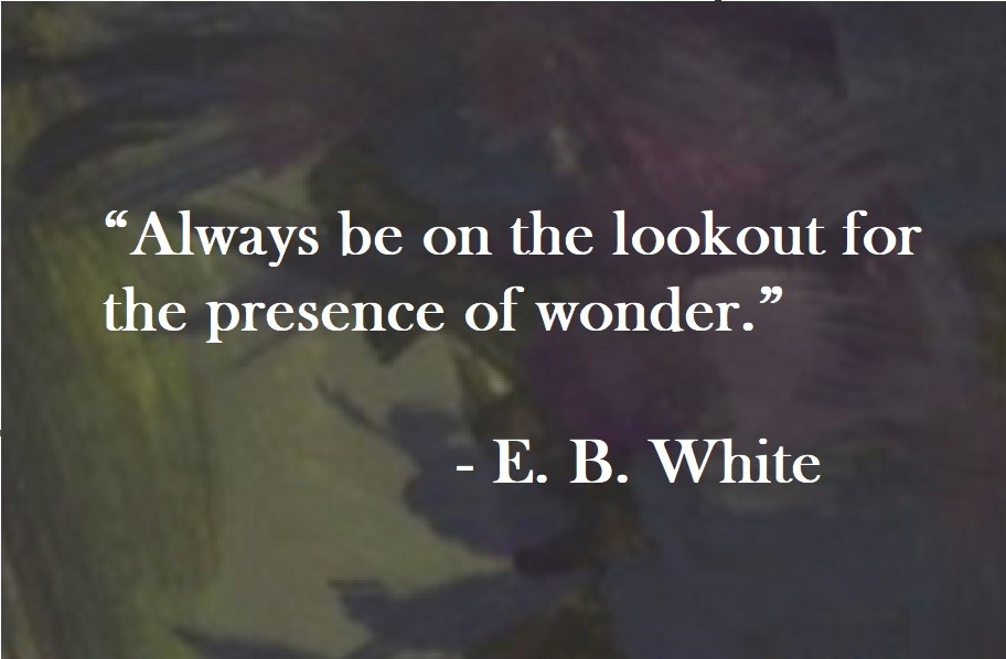 “Always be on the lookout for the presence of wonder.” E. B. White Quote on Hoist Point