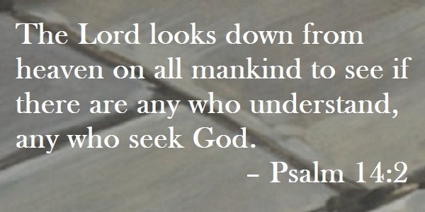 The Lord looks down from heaven on all mankind to see if there are any who understand, any who seek God. – Psalm 14:2 Quote on Hoist Point