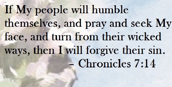 If My people will humble themselves, and pray and seek My face, and turn from their wicked ways, then I will forgive their sin. – Chronicles 7:14 Quote on Hoist Point