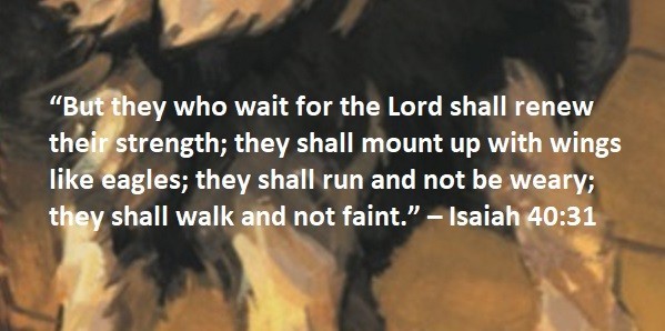 “But they who wait for the Lord shall renew their strength; they shall mount up with wings like eagles; they shall run and not be weary; they shall walk and not faint.” – Isaiah 40:31