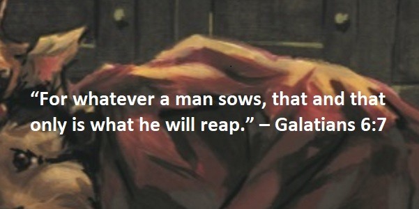 “For whatever a man sows, that and that only is what he will reap.” – Galatians 6:7