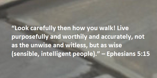 “Look carefully then how you walk! Live purposefully and worthily and accurately, not as the unwise and witless, but as wise (sensible, intelligent people).” – Ephesians 5:15