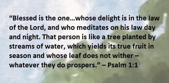 “Blessed is the one…whose delight is in the law of the Lord, and who meditates on his law day and night. That person is like a tree planted by streams of water, which yields its true fruit in season and whose leaf does not wither – whatever they do prospers.” – Psalm 1:1