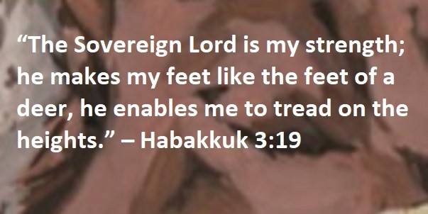 “The Sovereign Lord is my strength; he makes my feet like the feet of a deer, he enables me to tread on the heights.” – Habakkuk 3:19