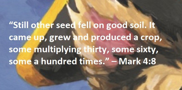 “Still other seed fell on good soil. It came up, grew and produced a crop, some multiplying thirty, some sixty, some a hundred times.” – Mark 4:8