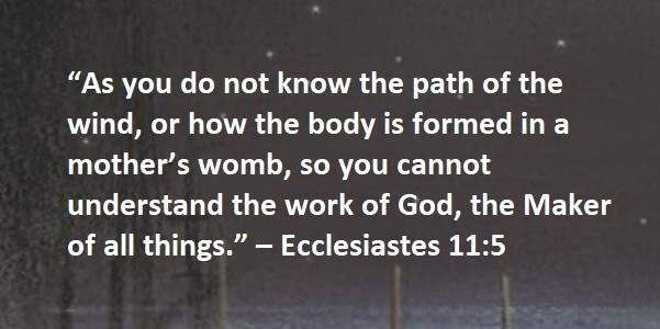 “As you do not know the path of the wind, or how the body is formed in a mother’s womb, so you cannot understand the work of God, the Maker of all things.” – Ecclesiastes 11:5